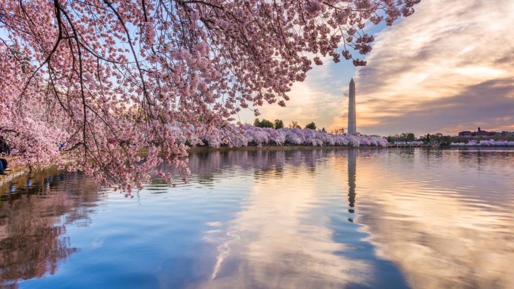 house manager salary washington dc