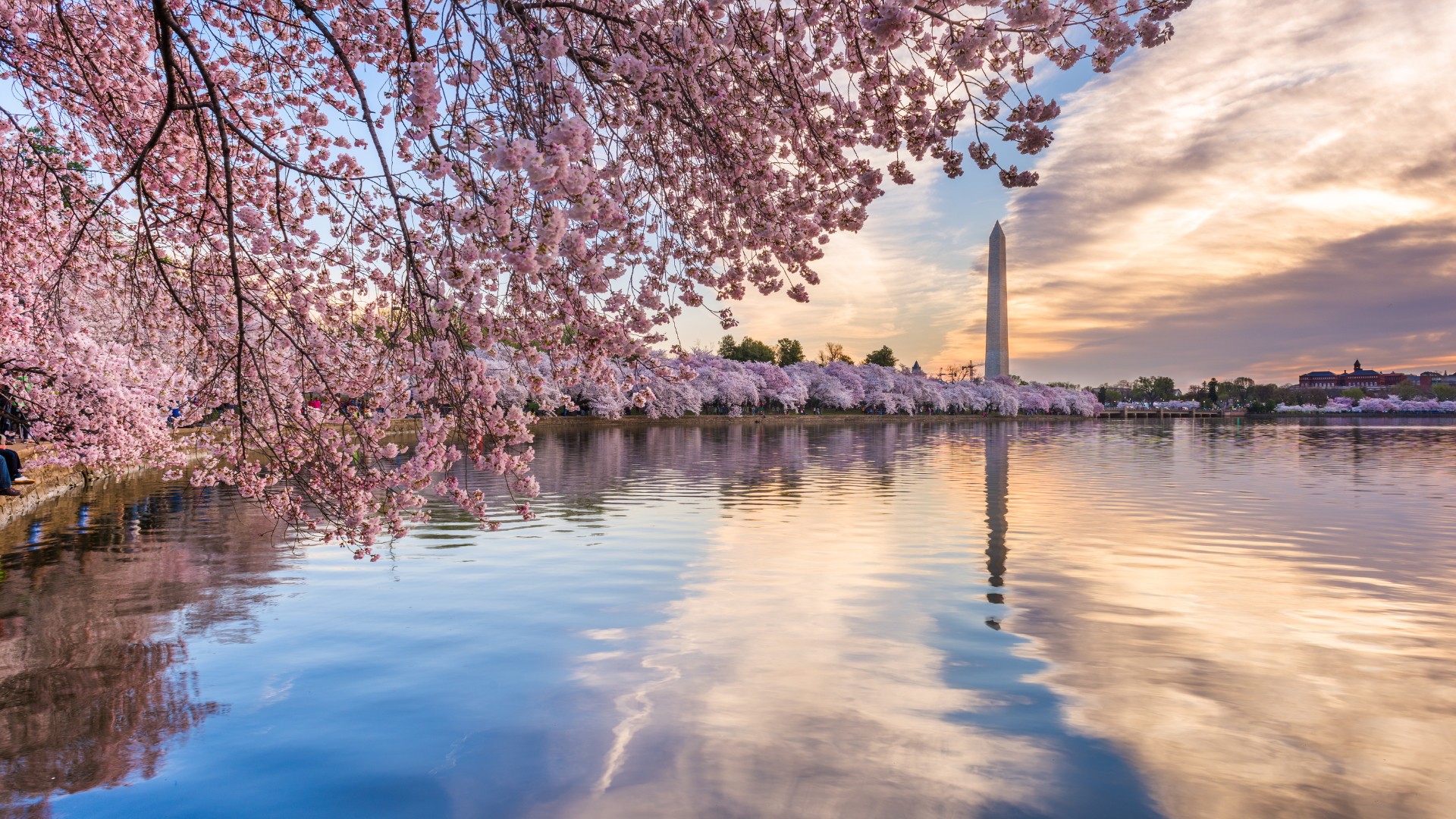 house manager salary washington dc
